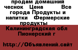 продам домашний чеснок › Цена ­ 100 - Все города Продукты и напитки » Фермерские продукты   . Калининградская обл.,Пионерский г.